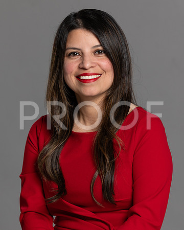 I. Mellado 2024 HS-35