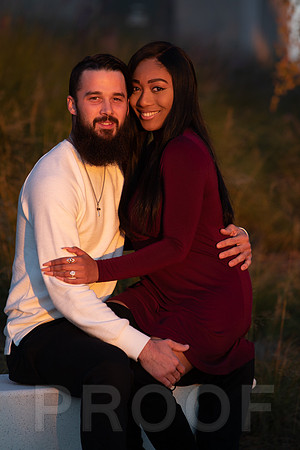 Shanna's Engagement-7411