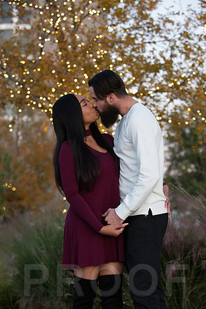 Shanna's Engagement-7446