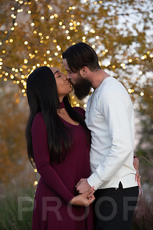 Shanna's Engagement-7447