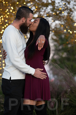 Shanna's Engagement-7451