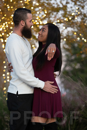 Shanna's Engagement-7452