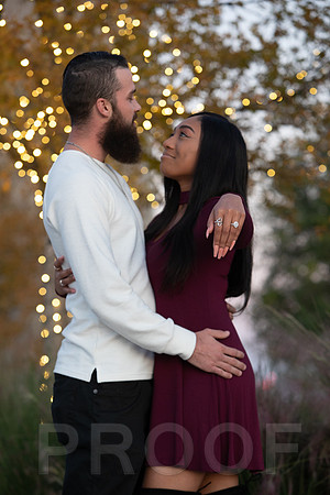 Shanna's Engagement-7453