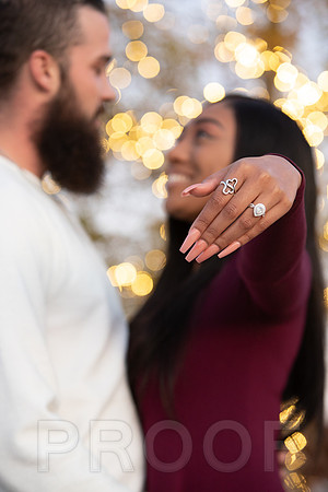 Shanna's Engagement-7454