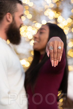 Shanna's Engagement-7455