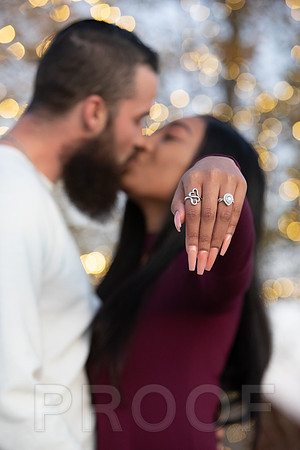 Shanna's Engagement-7456
