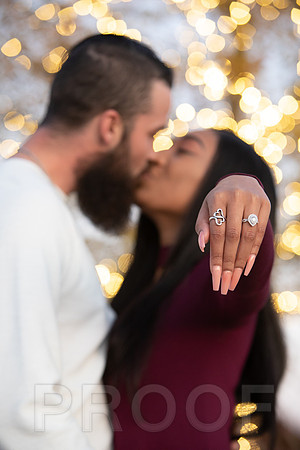 Shanna's Engagement-7457