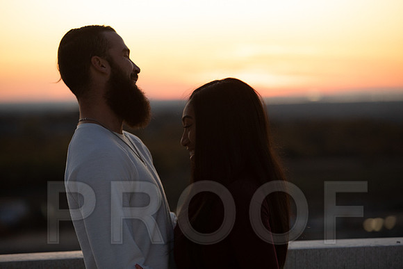 Shanna's Engagement-7480