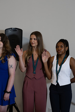 USA Pinning -8687