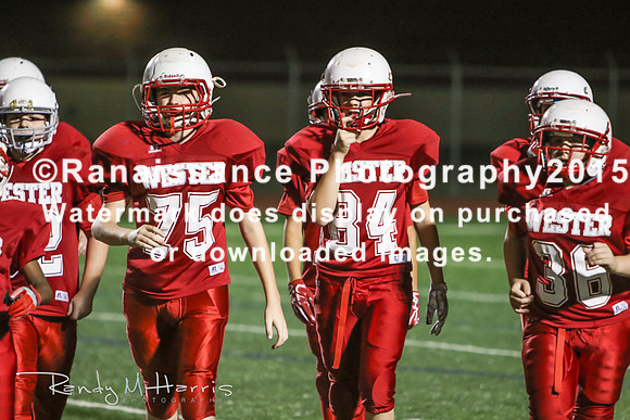 untitled (810 of 340)