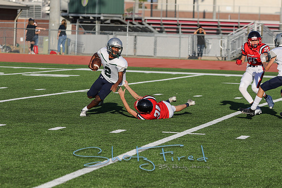 vs Reedy-1739