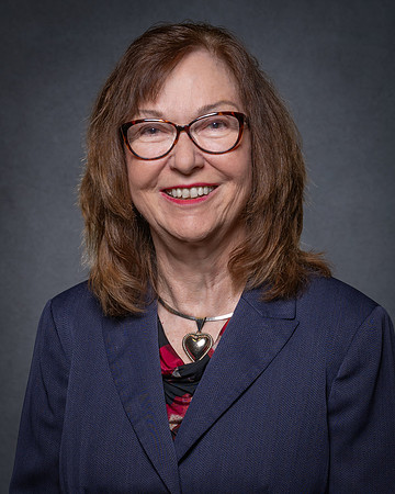 Pegasus Dr. S. Petersen 2024 HS 4x5-