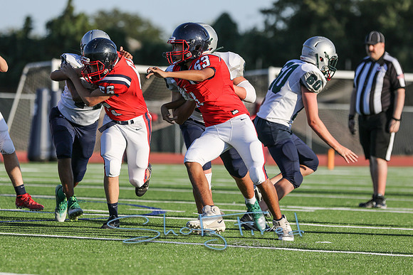 vs Reedy-1786
